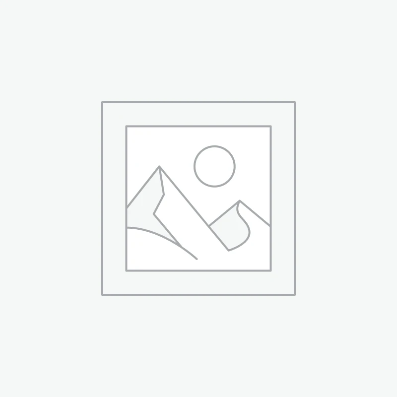 Premium Websites