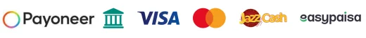 pay logo