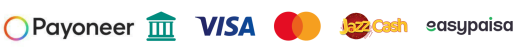 pay logo